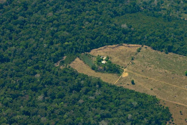imagem colorida dePainel do fogo, combate ao fogo na Amazônia. Porto Velho (RO), 28/09/2021