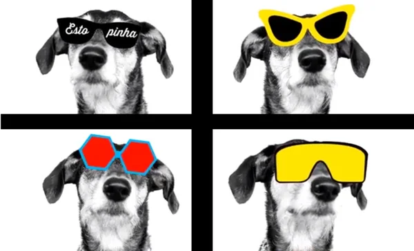 Bang, bang, au, au. Até a cachorra Estopinha entra na onda e “dubla” música de Anitta na internet