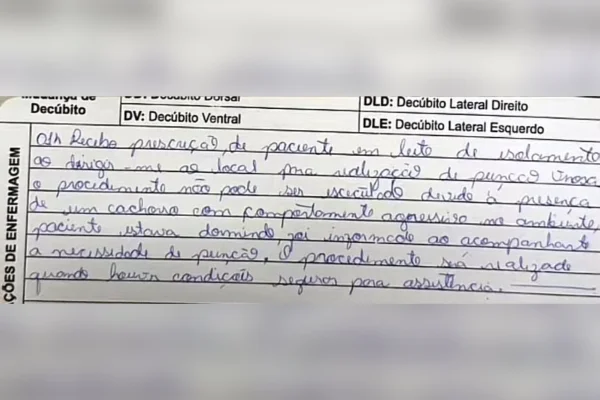 Caramelo vira guarda do tutor e impede aproximação da equipe em UBS - destaque galeria Caramelo vira guarda do tutor e impede aproximação da equipe em UBS - destaque galeria
