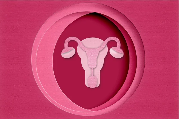 útero em papelada.Fundo rosaConceito de arte de saúde reprodutiva feminina. Metrópoles