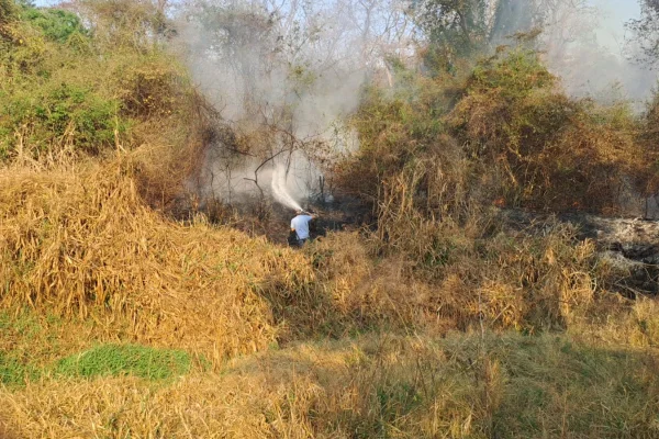incêndio vegetação focos ativos são paulo
