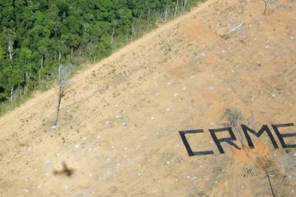 “Ecocídio” é crime contra humanidade, diz tribunal internacional
