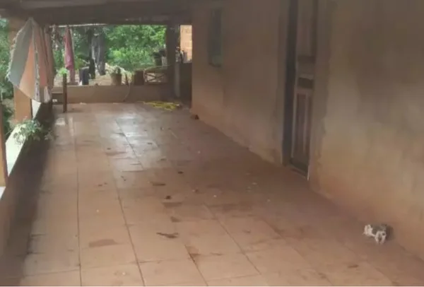 Jovem perde o bebê após ser espancada com cordas e correntes