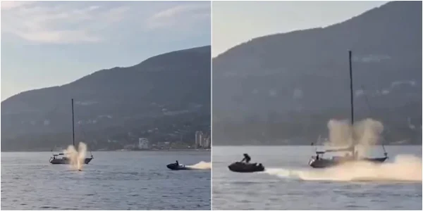 Piloto de jet ski colide com baleia no Canadá e é lançado ao mar