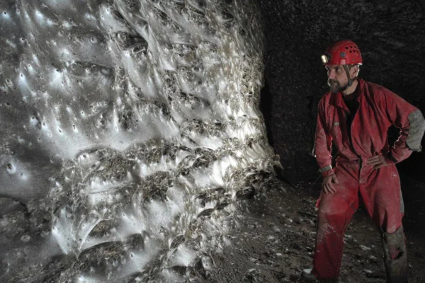 pesquisadores descobrem teia de aranha de 357 metros em caverna