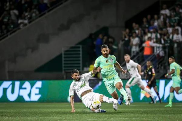 Palmeiras e Juventude