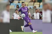Fábio é destaque do Fluminense. Fábio é destaque do Fluminense.