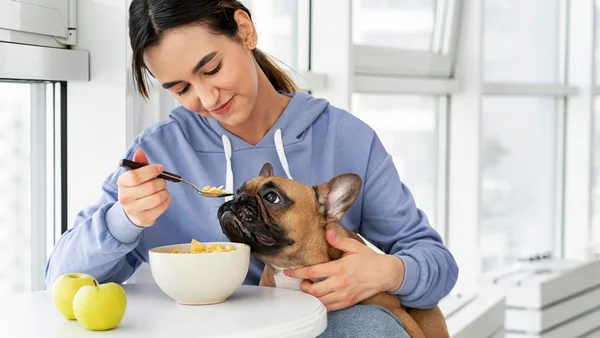 Oferecer comida do próprio prato aos pets é perigoso; entenda riscos