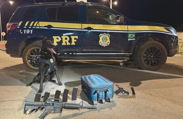 Cão PRF- pistolas e fuzil