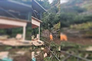 Mulher de 25 anos ficou soterrada após um deslizamento de terra atingir a casa onde mora no bairro Cerâmica, na Zona Norte de Juiz de Fora, neste sábado (21/2) Mulher de 25 anos ficou soterrada após um deslizamento de terra atingir a casa onde mora no bairro Cerâmica, na Zona Norte de Juiz de Fora, neste sábado (21/2)