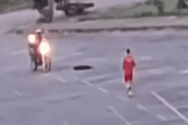 Goiânia: bombeiro que atirou em cachorro é indiciado por maus-tratos