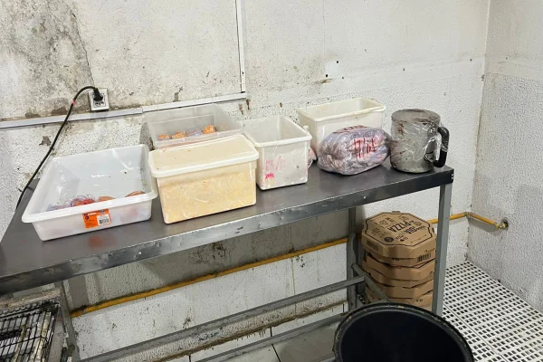 Pizzaria interditada por usar comida podre vendia 250 unidades por dia