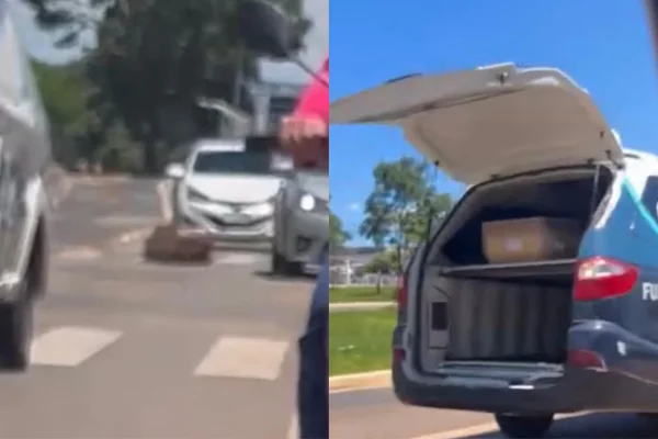 Caixão cai de carro funerário no meio de avenida e assusta motoristas