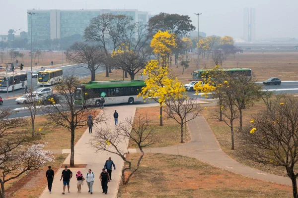 Foto colorida de paisagem de Brasília, Distrito Federal, tomada por neblina espessa e cinza