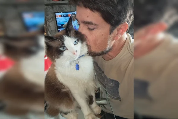 Imagem colorida mostra homem beijando cabeça de gato
