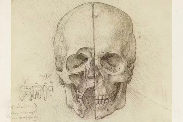 Imagem de desenhos de Leonardo da Vinci