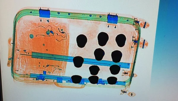 Homem é preso com ouro avaliado em R$ 1,5 mi no Aeroporto de Brasília