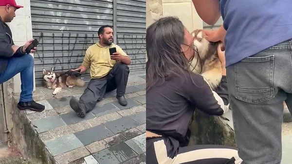 Motoboy encontra cão que estava perdido