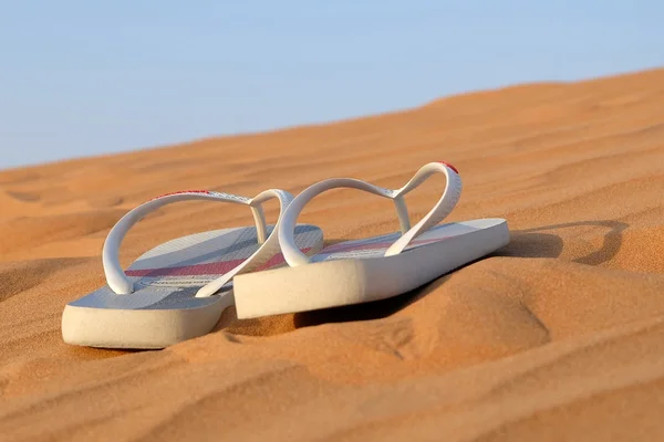 Havaianas