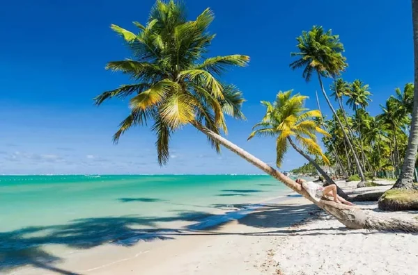 Baixou! Pacote com aéreo e hospedagem para a Praia dos Carneiros por R$ 599