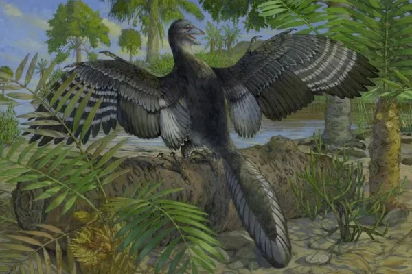 Ilustração colorida de dinossauro que voava igual uma galinha - Metrópoles