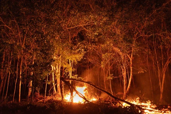 Imagem colorida de queimada em Nossa Senhora de Fatima, no Amazonas