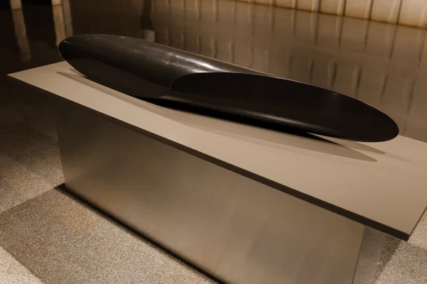Sergio Camargo – OBRA 17 EN
