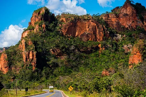 imagem da vegetação da chapada dos guimarães no mato grosso