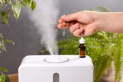 Para disfrutar do óleo essencial, basta pingar de uma a duas gotas em um difusor