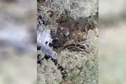 Área em que o helicóptero foi encontrado Área em que o helicóptero foi encontrado