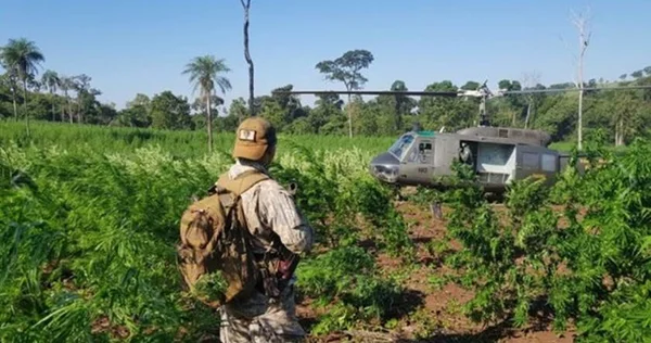 PF apreende 1,1 tonelada de maconha avaliada em US$ 33 milhões