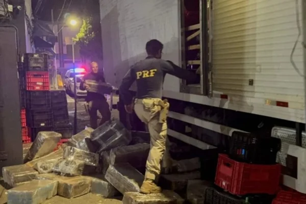 PRF apreende mais de 3 toneladas de maconha na BR-262