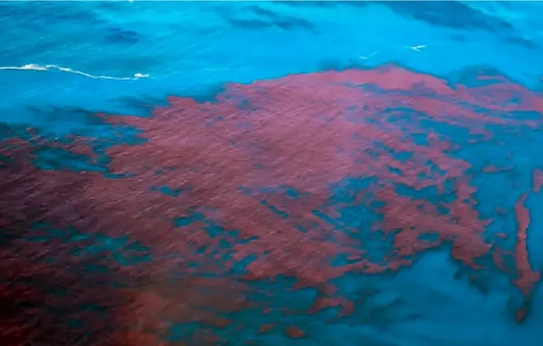 Imagem colorida da Maré vermelha do mar de Pernambuco