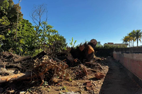 Operação de combate aos crimes de dano ambiental e parcelamento irregular do solo na região administrativa de Vicente Pires - Metrópoles