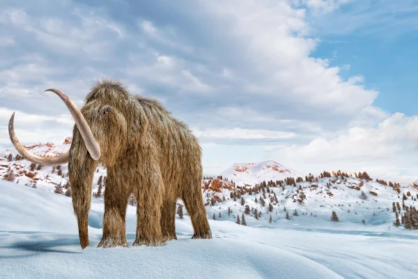 Ilustração colorida de mamute andando na neve - Metrópoles