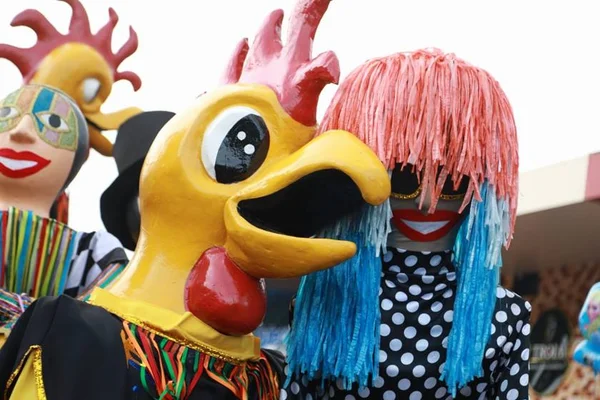 Mais de 20 mil foliões curtiram o Carnaval de Brasília neste sábado