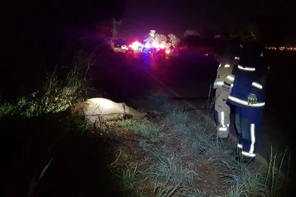 Mulher morre após carro atropelar cavalo em Sobradinho