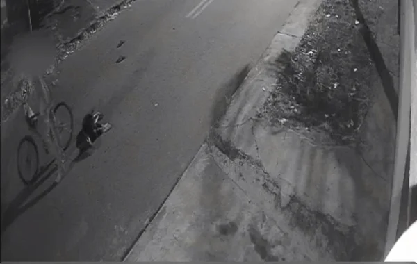 Imagem em preto e branco de uma câmera de segurança que flagrou maus tratos a animais - metrópoles