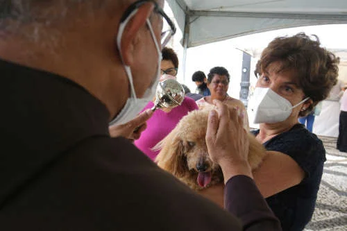 São Francisco de Assis: animais recebem bênção no Rio e em SP - destaque galeria São Francisco de Assis: animais recebem bênção no Rio e em SP - destaque galeria