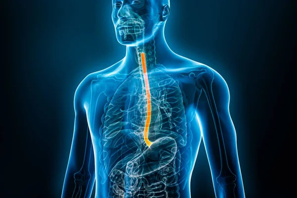 Desenho preto e azul neon de corpo humano com esofago destacado