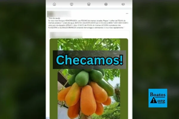Imagem colorida de um print de um post falso - Metrópoles