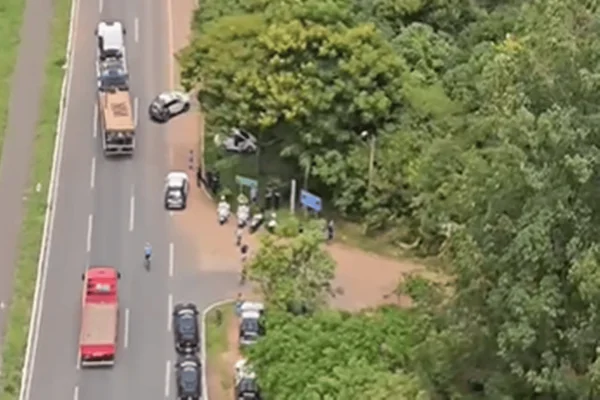 Suspeito rouba carro, bate e foge para mata em perseguição policial