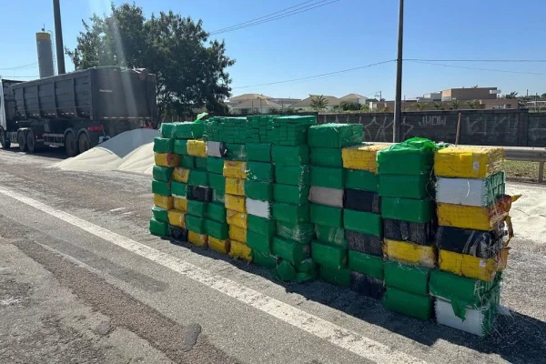 Imagem colorida mostra carga de maconha encontrada no meio de sacos de adubo pela PM no interior de São Paulo - Metrópoles