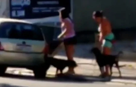 Vídeo. Polícia busca mulheres que abandonaram cães no Rio de Janeiro
