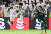 Santos and Palmeiras faced off at Vila Belmiro in Serie A, Brazil.