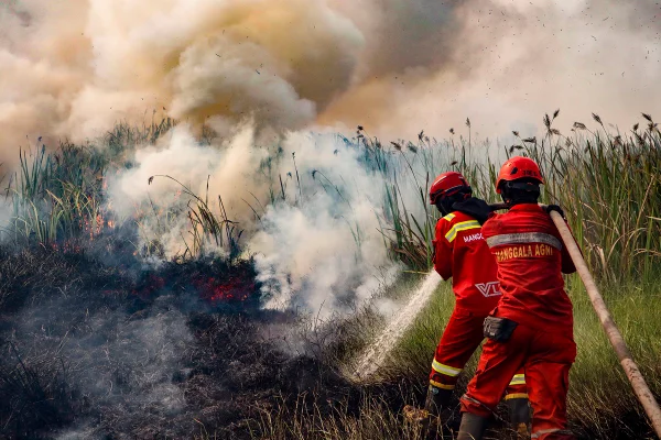 Um bombeiro de Manggala Agni trabalha para extinguir um incêndio em turfeiras na vila de Arisanjaya, Ogan Ilir, Sumatra do Sul, na Indonésia