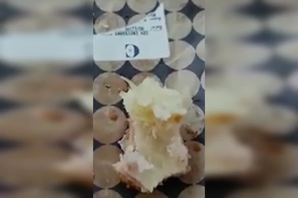 Larva em lanche