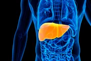 Some drinks can negatively affect liver function Some drinks can negatively affect liver function