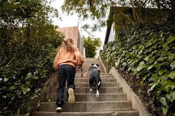 Foto mostra jovem subindo degraus de escada enquanto passeia com cachorro - exercício - micro exercício