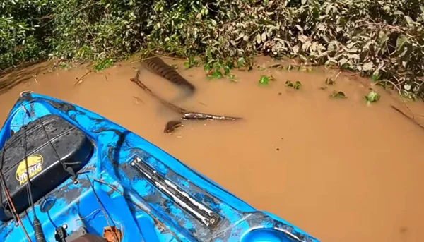 Sucuri gigante próxima a um barco azul em um rio - Metrópoles